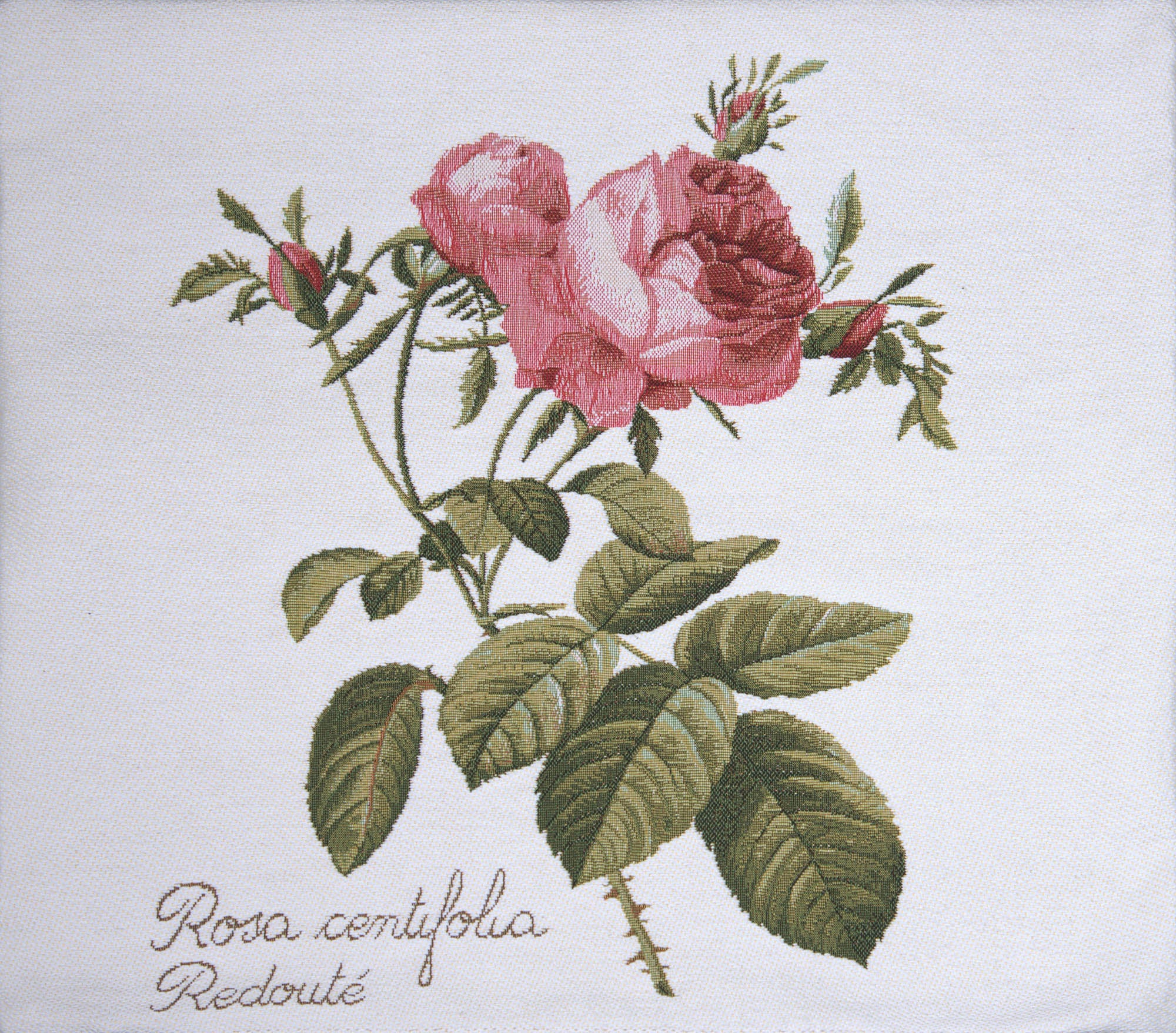 Rose On Right White French Tapestry Cushion