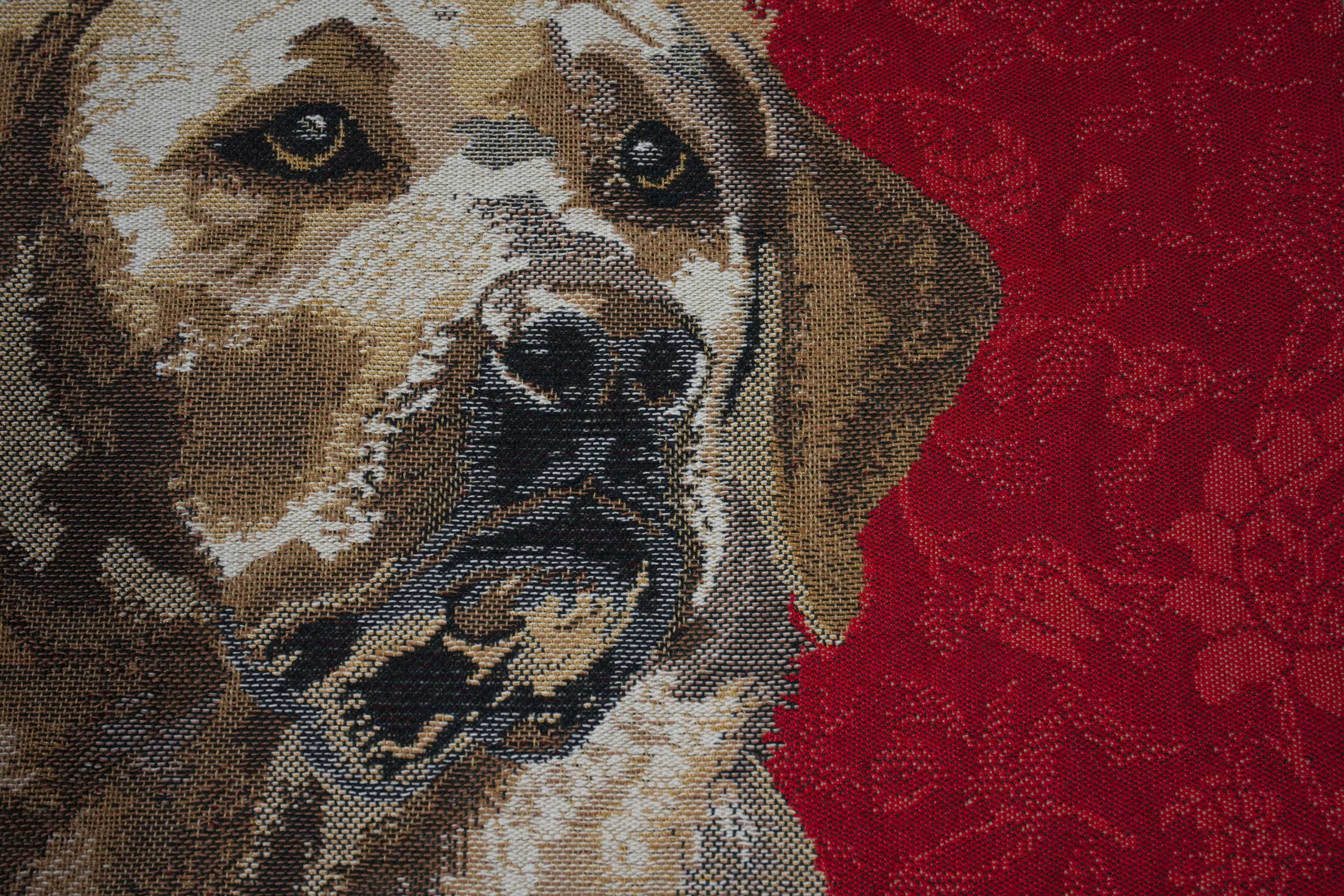 Labrador Red Belgian Cushion Cover