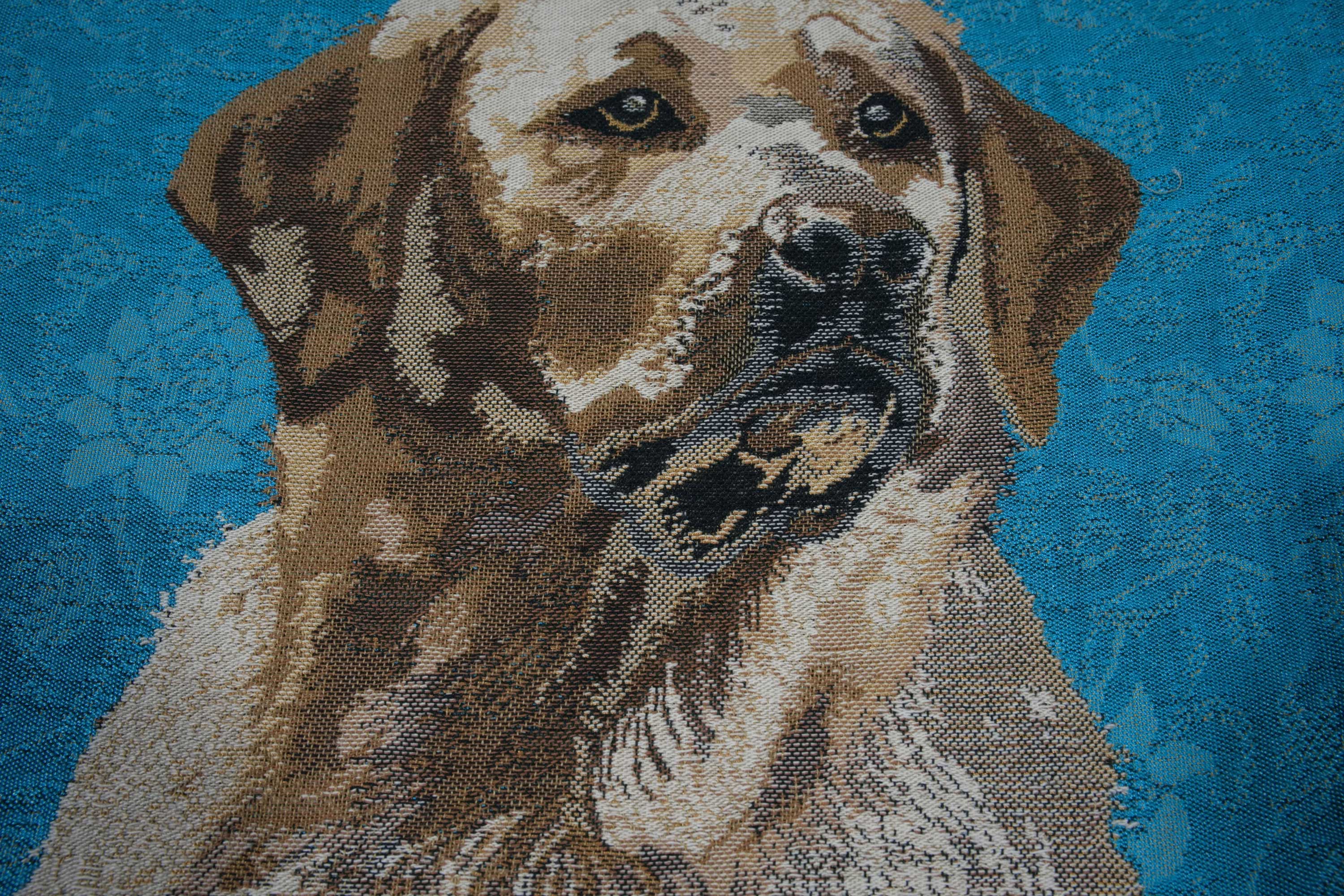 Labrador Blue Belgian Cushion Cover