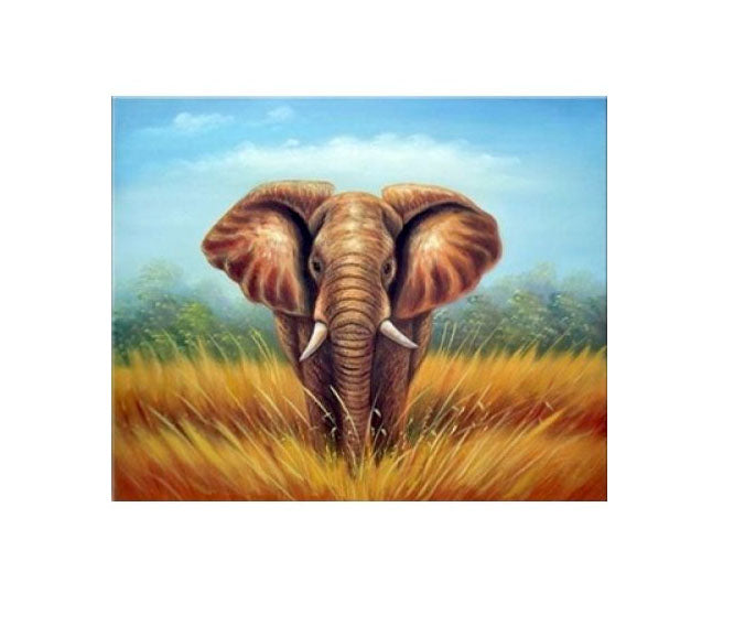 African Elephant Canvas Art