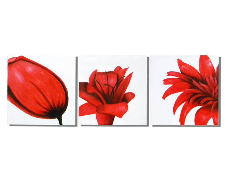 Red Flower Trilogy Canvas Art