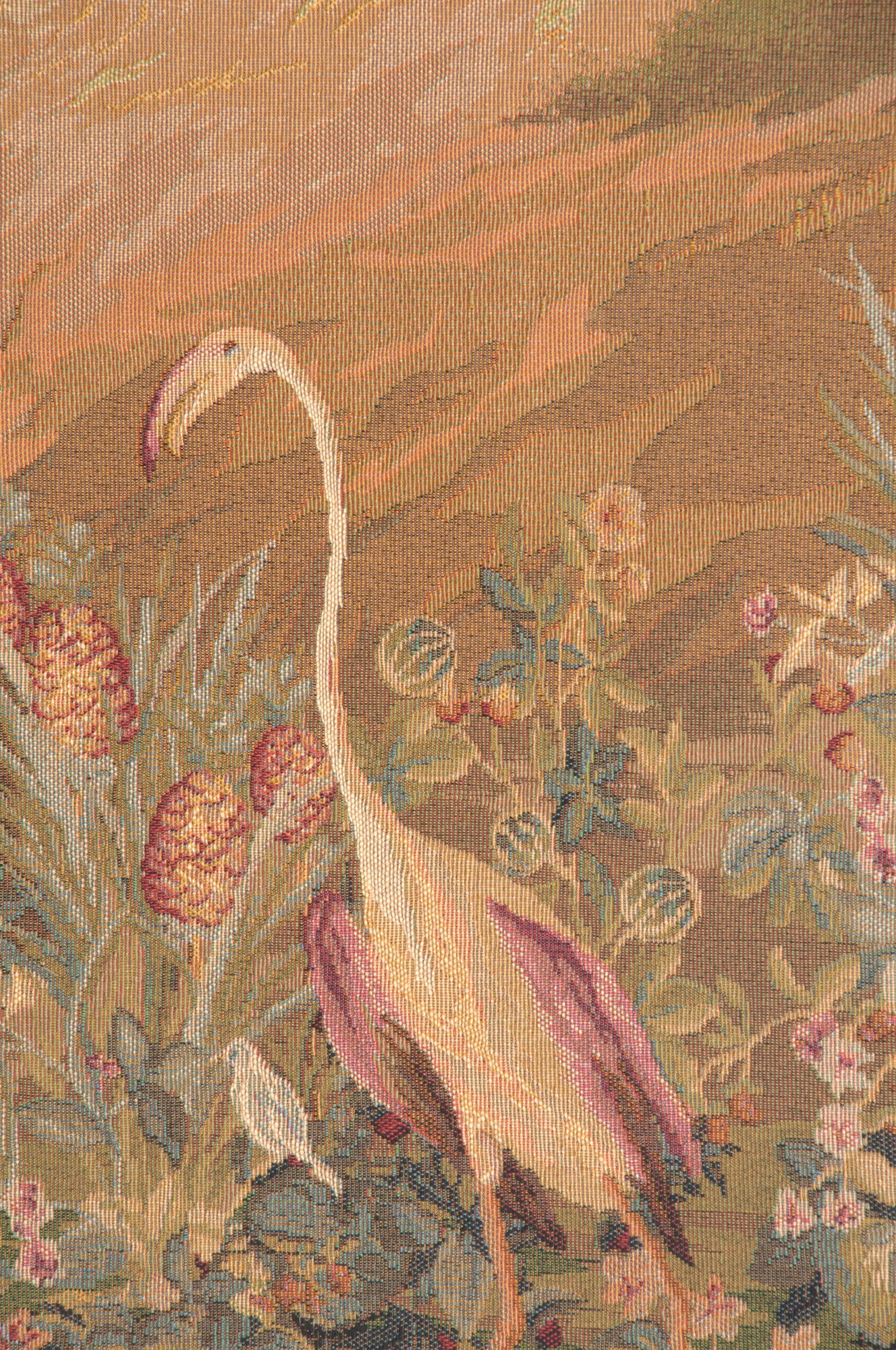 Le point Deau Flamant Rose French Tapestry by Albert Eckhout