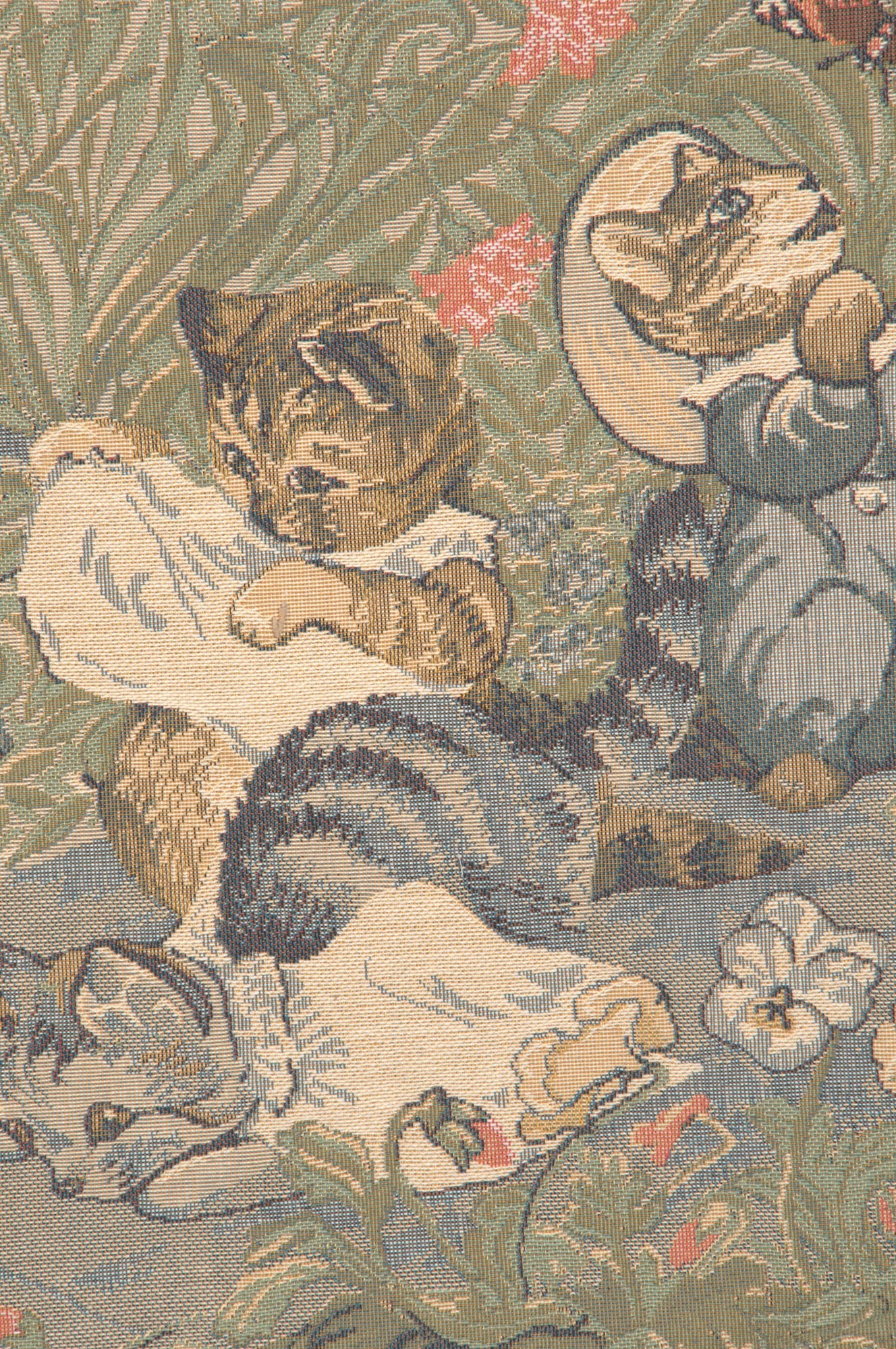 Tom Kitten Beatrix Potter  European Cushion Cover by Beatrix Potter